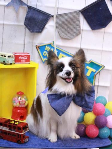 20230416マリーちゃん